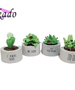 گلدان مینیاتوری کاکتوس