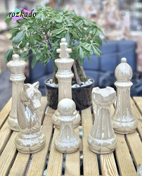 اکسسوری شطرنج لاستر